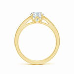 Load image into Gallery viewer, Lab-Grown Vintage Inspired Round Diamond Split Shank Engagement Ring
